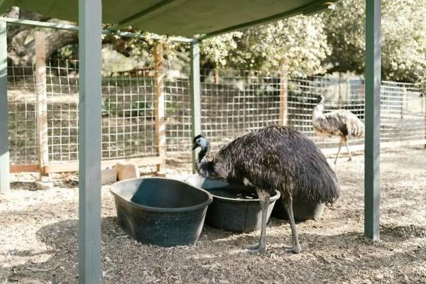 30 неожиданных открытий, которые ждали путешественников в Австралии 30 неожиданных открытий, которые ждали путешественников в Австралии